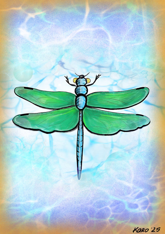 Print A grade - Dragonfly dreams