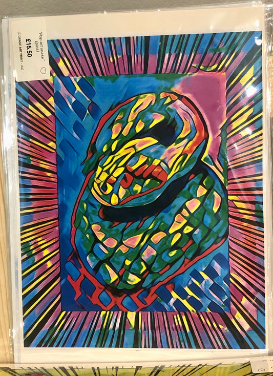 Print (C grade) -pop art style snake