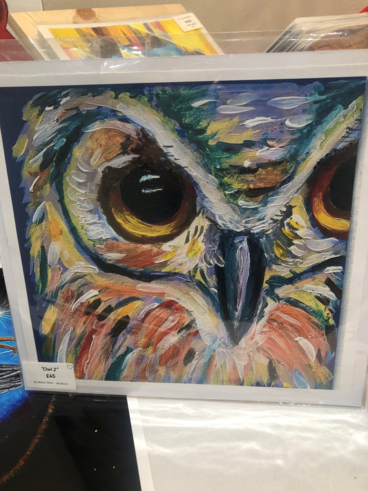 Print B grade- Owl